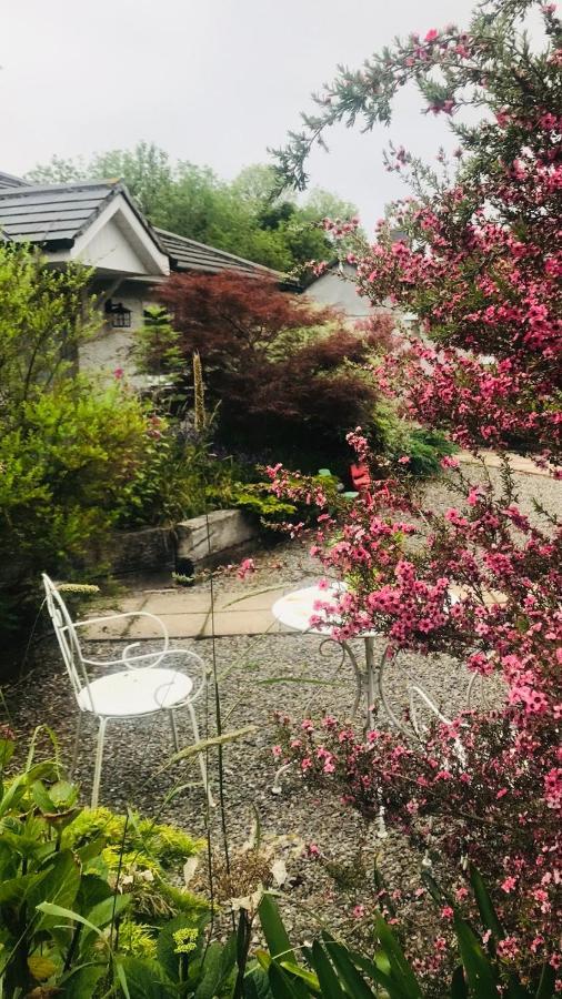 A Selection Of Self Catering Holiday Homes At Kilcloon Cottages Maynooth Luaran gambar