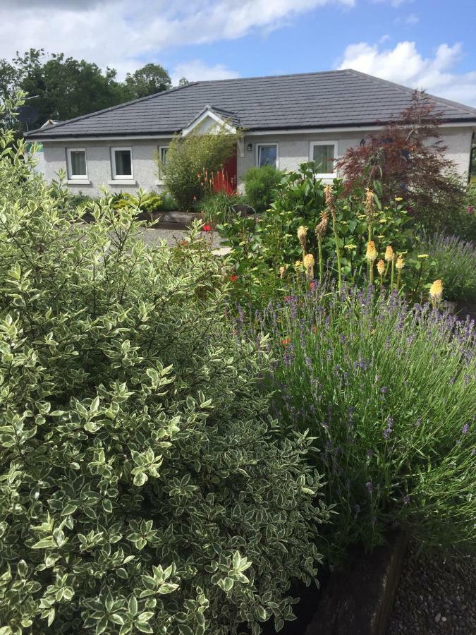 A Selection Of Self Catering Holiday Homes At Kilcloon Cottages Maynooth Luaran gambar